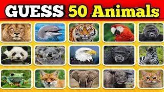 Guess 50 Animals in 3 Seconds ⏱️ | Fun Animal Quiz 2026 | Quiz in Hindi