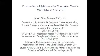 Large-scale Models of Consumer Choice and Counterfactual Inference