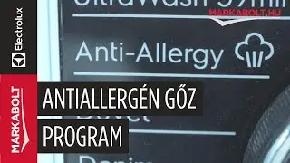Electrolux mos&oacute;g&eacute;p: Antiallerg&eacute;n gőz program &ndash; M&aacute;rkabolt.hu