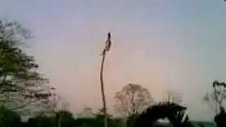 07032009002
