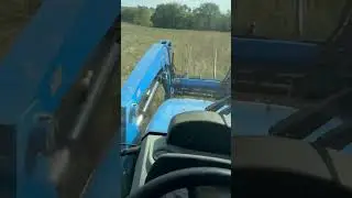 Spreading grass seed, no salesman involved #Grass #CowChow #Farm #Ranch #Feed #Cowboy #GrassFed #Fyp