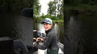 Alaska Salmon Fishing Deshka River