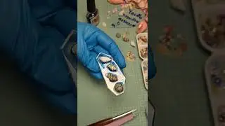 Урок по изготовлению заколок для волос из морской ракушки с использованием УФ-смолы 🌴🥥 #урок #руч...