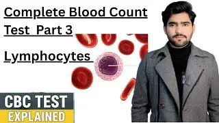 Lymphocytes Explained | Normal Range, Types, Function, Increase & Decrease  MLT Hub with Ali Hasnain