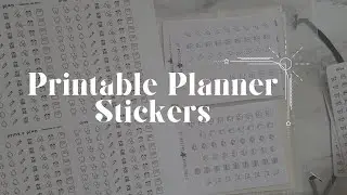 how to print and cut printable planner stickers & bonus sticker organization