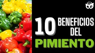 PIMIENTO MORRÓN: Sus increíbles PROPIEDADES para la salud
