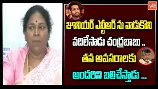 YSRCP MLC Pothula Sunitha Fires On Pawan Kalyan | Chandrababu Naidu | JR NTR | YOYO TV Channel