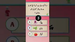 Top Islamic Question Answer | Islamic Sawal Jawab | Amazing Islami Paheliyan |Best Urdu Quiz|VM