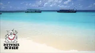 Situation 2wo - If You Cant Sleep (Scope's Miami Dub)