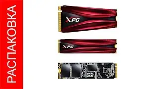 Распаковка Unboxing ADATA XPG Gammix S11 Pro 256GB M.2 2280 PCIe 3.0 x4 3D NAND TLC без комментариев
