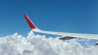 Plane Flying Clouds Flight Sunny Summer Blue Wing Clear Aviation Relaxation Sydney Australia 4K HD