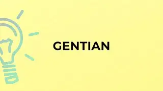 What is the meaning of the word GENTIAN?