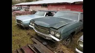 489 Classic Cars - Hiidden in 4 Chicken Coop's