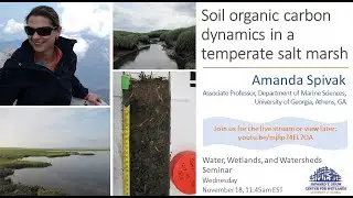W3 Webinar: Soil organic carbon dynamics in a temperate salt marsh