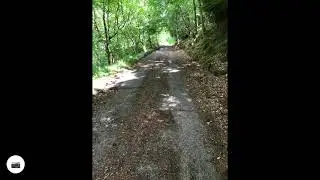 Lochness360 Invermoriston to Drumnadrochit