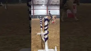Level 1 Working Equitation EOH