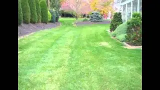Spring Fall Clean Up Hagerstown MD Washington County MD by Grosh's Lawn Service