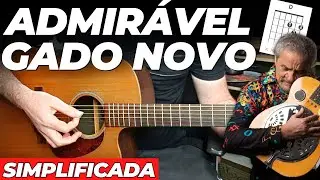 Admirável Gado Novo - Zé Ramalho - Como Tocar no Violão