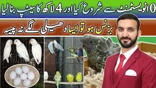 High Profit Business Idea With Zero Investment | Low Investment Business ideas | Business Ideas