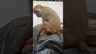 NicheUtaar 😰 #comedy #funny #comedyvideos #trendingcomedy #funnyvideos
