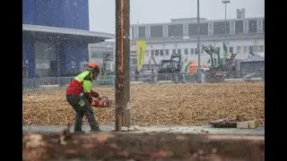 Waldarbeitermeisterschaften International in Eisleben