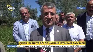 Gevaş Fasulyesinde Hasat Zamanı