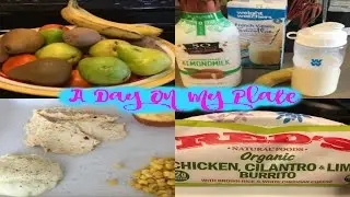 Weight Watchers | A Day On My Plate | Food Prep 4/24/16