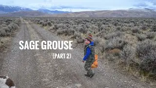 Y2E35: Sage Grouse (Part 2)