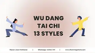 Wu Dang Tai Chi 13 Styles | 武當太極十三勢