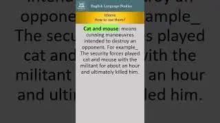 Idioms, Cat and mouse #english #easyenglisheveryday #englishidiom