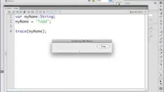 60. Flash & AS3 - Working with variables
