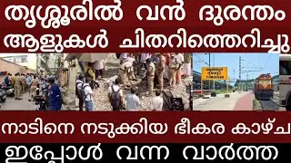 തൃശ്ശൂരിൽ വൻ ദുരന്തം.. ആളുകൾ ചിതറി അലറി വിളിച്ച് ജനങ്ങൾ | Breakingnews | Keralapolice |