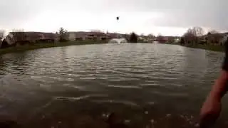 autumns carp