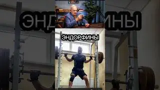 Эндорфины - Гормоны радости / Бубновский Сергей Михайлович