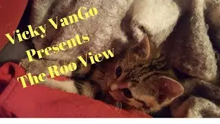 The Roo  View