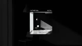 raindrop. // xylo.