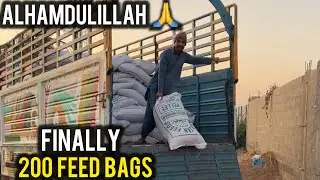 Finally 200 feed ke bags bhi agaye 🥺🐣 | Alhamdulillah khuwab poora hoa 🥺🙏🐣