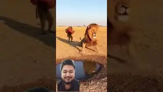 Bechara Sher Doll se Darr Gaya😂😂🦁#FunnyAnimals #AnimalMeme #BandarSher #ViralReelsIndia #ComedyVideo