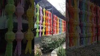 Hilltribe Coloured Lanterns. Chaing Mai Thailand