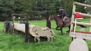 Ballysheil Mr Monaghan more X country videos