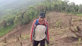 Jhum shifting cultivation 