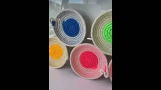 NEW Neon Petite Collection