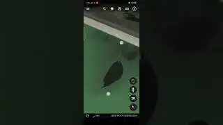 I found the sea monster in Google earth