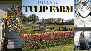 A Taste of Holland in Warwickshire | Tulips, Klompen & Sunshine!