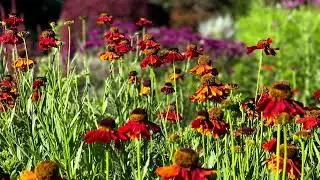 Blackwood Ridge Open Gardens 23/24 Season