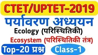 ecology ecosystem top 20 questions for all exam CTET/UP TET/MPTET