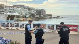 Bondi Beach racial epithets, vandalism and graffiti 