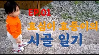 효심이 효둥이의 시골 나들이 (Feat. 솥뚜껑 삼겹살)