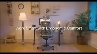 Office Chair with Seat Slider | Flybird Ergonomic Design | 2D Adjustable Armrests