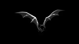 Rehab | Orphan | Bat Megabat (Flying-fox) (Fruit bat) Baby Black male in care